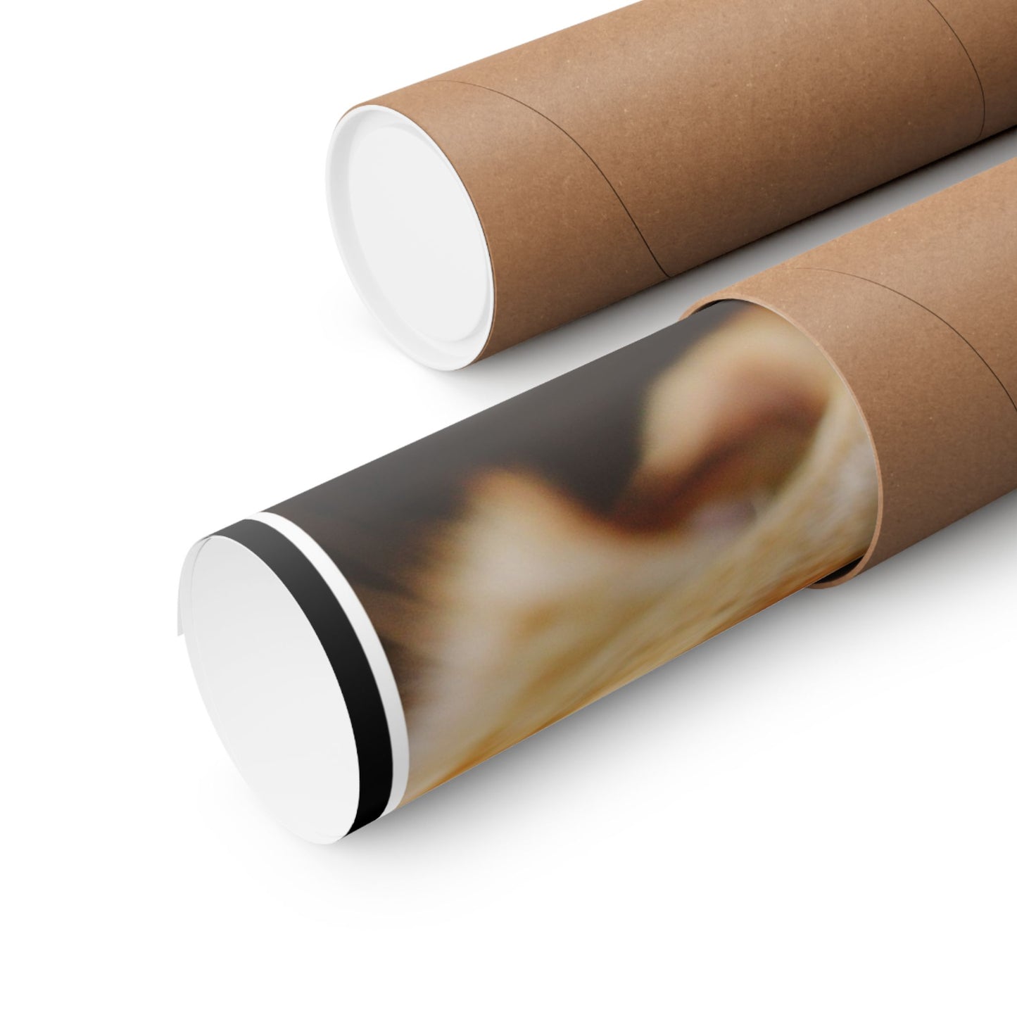 Ginger Cat “Look with Kindness” Inspirational Quote Poster – Archival Wall Art Print