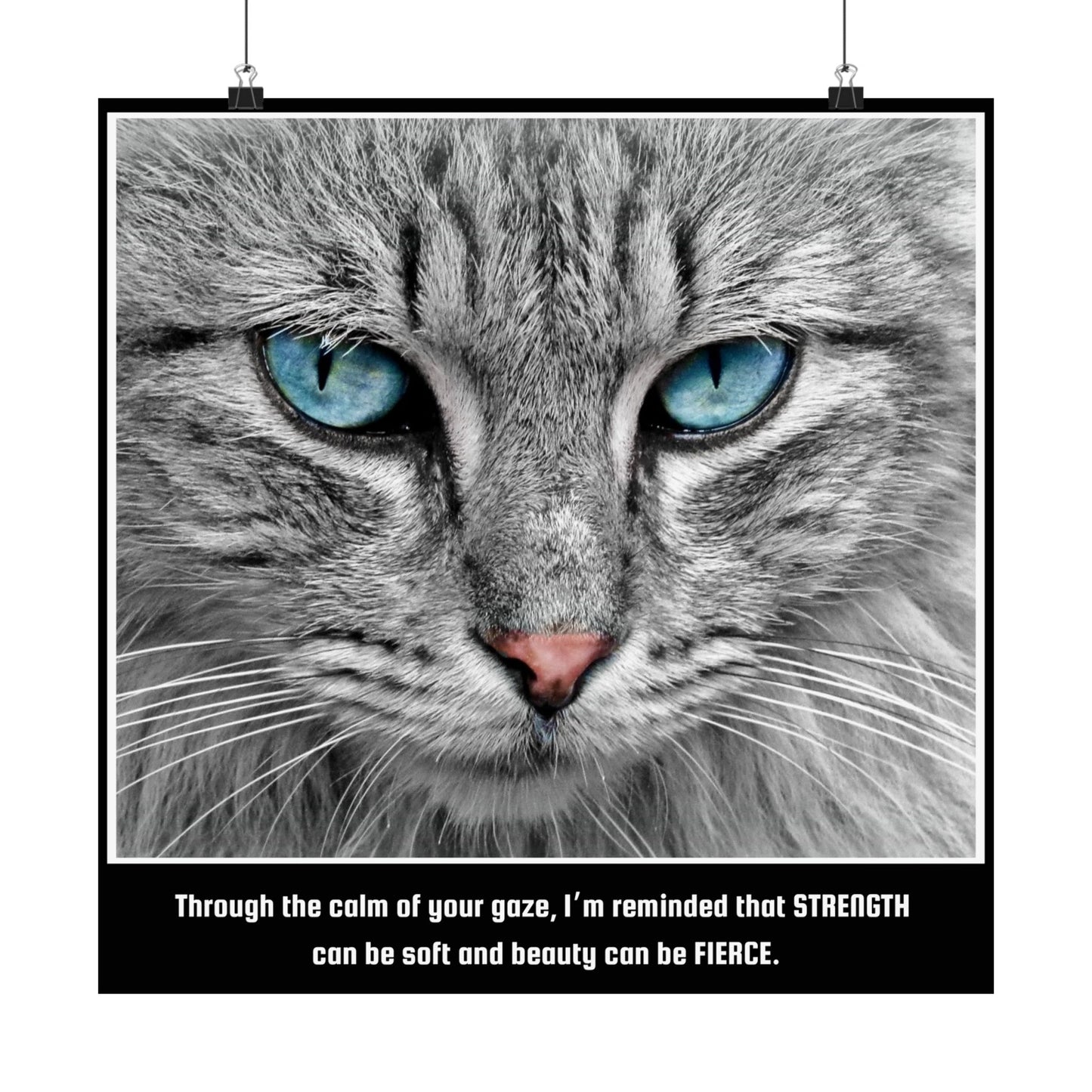 Fierce Elegance Blue Eyed Cat Inspirational Wall Art