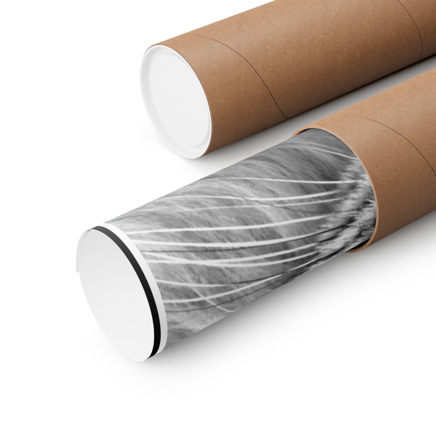 Fierce Elegance Blue Eyed Cat Inspirational Wall Art